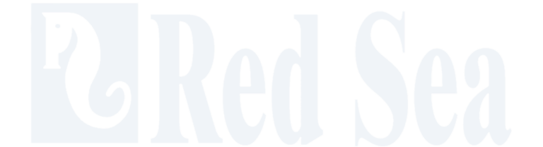 Untitled-design-7.png